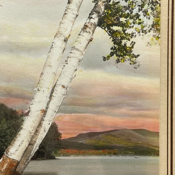 Vintage Hand Tinted Photograph Wilton Birches John Carleton Bicknell Maine Frame - Picture 5 of 8